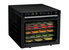 6-Tray Black Food Dehydrator With 2 Speeds Settings And Dual Fans - Black