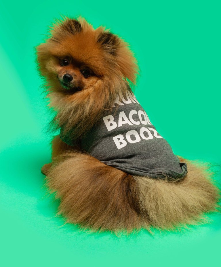 Brunch Bacon Booze T-shirt