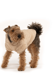 Cream Sherpa  Pet Hoodie