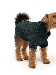 Emerald Chenille Pet Sweater