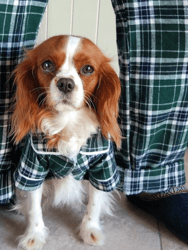 Green Plaid Matching Human Pajamas