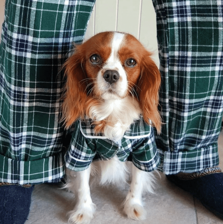 Green Plaid Matching Human Pajamas