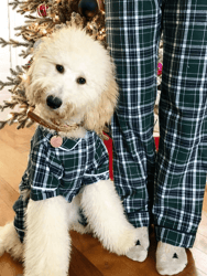 Green Plaid Matching Human Pajamas