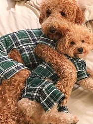 Green Plaid Pajamas