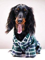 Green Plaid Pajamas