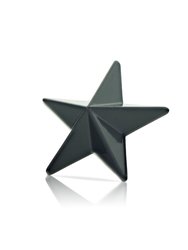 Three-Dimensional Black Star Stud Earring - Black