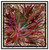 Medusa's Flowers Silk Scarf - Fuschia, Bordeaux