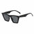 Chicago Sunglasses - Black/Lens Style: Polarized + 100% UV Protection