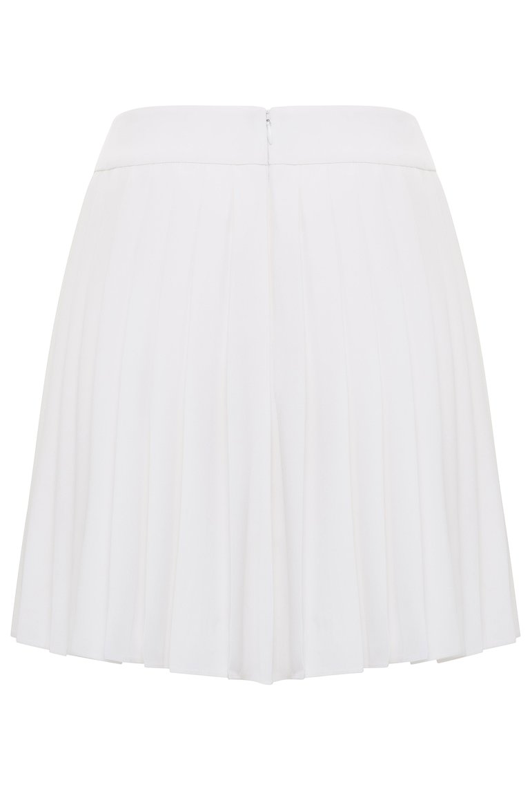 Alexis Silk Pleated Mini Skirt
