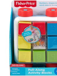 Fisher-Price Pull-Along Activity Blocks