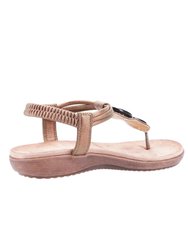 Womens/Ladies Clara Slip On Sandal - Brown