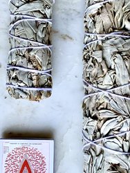 White Sage Bundle