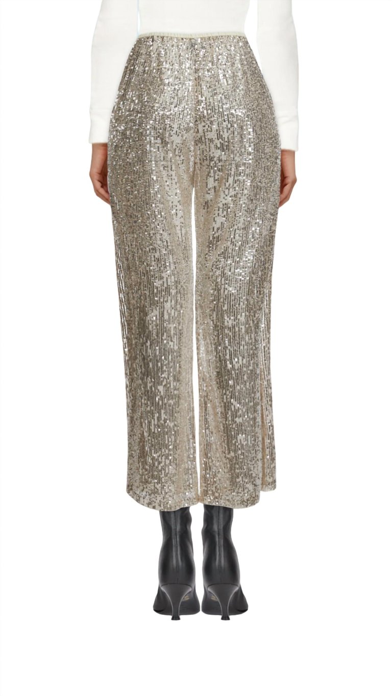 The Trousers In Micro–Sequins