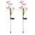 2Pcs Solar Garden Lights Outdoor Lily Flower LED Light 7-Color Changing IP65 Waterproof Pathway Stake Lights Patio Decorative - Multi
