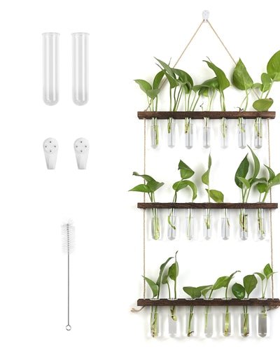 Fresh Fab Finds 3-Tier Wall Hanging Planter Glass Hydroponic Vase Plant Flower Propagation Tube Planter Terrarium With Wooden Stand product