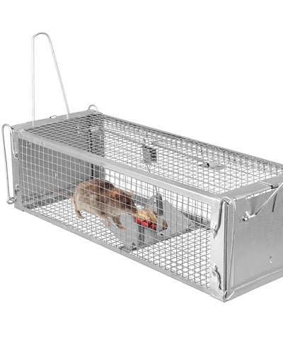Fresh Fab Finds Dual Door Rat Trap Cage Humane Live Rodent Dense Mesh Trap Cage Zinc Electroplating Mice Mouse Control Bait Catch With 2 Detachable U Shaped Rod product