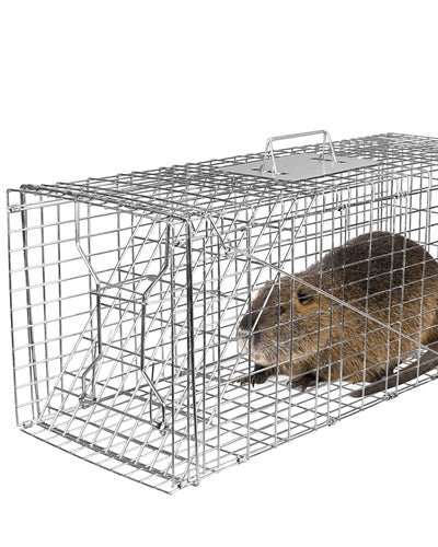 Fresh Fab Finds Humane Cat Trap Cage Catch Release Live Animal Rodent Cage Collapsible Galvanized Wire For Raccoons Beavers Groundhogs Foxes Armadillos product