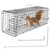 Humane Cat Trap Cage Catch Release Live Animal Rodent Cage Collapsible Galvanized Wire for Small Raccoons Beavers Groundhogs Foxes Armadillos