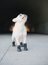 Beluga 544 Dog Shoes