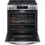 5.1 Cu. Ft. Stainless Steel Freestanding Gas Range