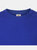 Fruit Of The Loom Mens Iconic 195 Ringspun Premium Tshirt (Royal Blue)