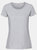 Fruit Of The Loom Womens/Ladies Ringspun Premium T-Shirt (Taupe Gray) - Taupe Gray