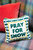 Pray For Snow Needlepoint Pillow In Amber