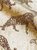Leopard Jacquard Hand Towel - Gold/Brown - 85 cm x 50 cm