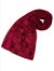 Flameleaves Scarf - Red