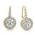 GENEVIVE Sterling Silver Gold Plated Cubic Zirconia Round Drop Earrings