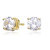Genevive Sterling Silver Gold Plated Cubic Zirconia Solitaire Stud Earrings - Gold