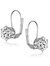Sterling Silver With Clear Cubic Zirconia Classic Leverback Earrings