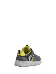 Geox Boys Aril Sneakers