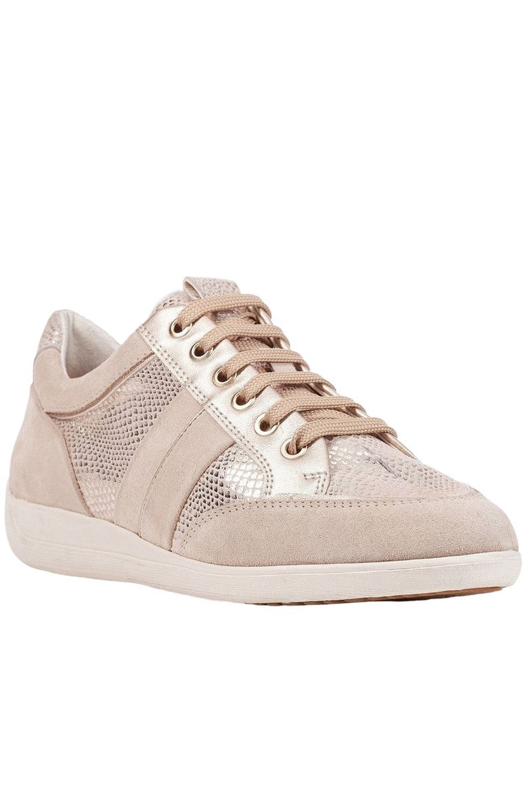 Womens/Ladies Myria Suede Sneakers - Light Taupe - Light Taupe