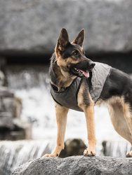 US Army Dog Cooling Vest