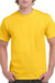 Gildan Mens Hammer Heavyweight T-Shirt (Daisy)