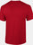 Gildan Mens Ultra Cotton Short Sleeve T-Shirt (Cherry Red)