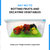 Fruit Fresh® Refrigerator Crisper Drawer Liner 2 Pk, Keeps Fruit And Vegetables Fresh Longer