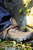 Grisport Mens Glencoe Nubuck Walking Boots (Green)
