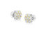 14k Yellow Gold Plated .925 Sterling Silver 1/4 Cttw Round Brilliant Cut Diamond Floral Cluster Screwback Stud Earrings