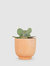 Terra Cotta Footed Planter