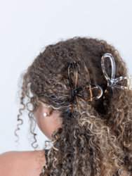 Looped Clip Set - Brown/Clear - Brown/Clear