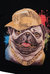 Rhinestone Studded Graphic Printed T-Shirt Cool Rich Pug Dog