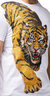 Slim Fit Crewneck Rhinestone Studded Graphic Printed T-Shirt - Lion Crawl