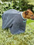 Henry Wag Dog Drying Coat (Gray) (Extra Small)