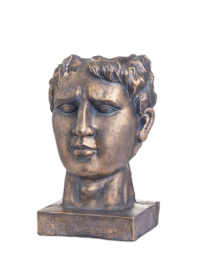 Hill Interiors Antique Style Bronze Roman Head Planter - One Size product