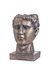 Antique Style Bronze Roman Head Planter - One Size - Bronze