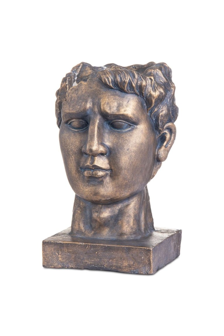 Antique Style Bronze Roman Head Planter - One Size - Bronze