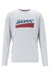 Men Loungewear Rubberized Logo 100% Cotton Authentic Sweatshirt - Grey