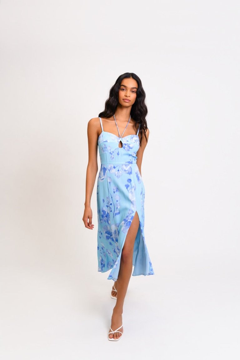 Erika Dress - Sky Blurred Berry Floral